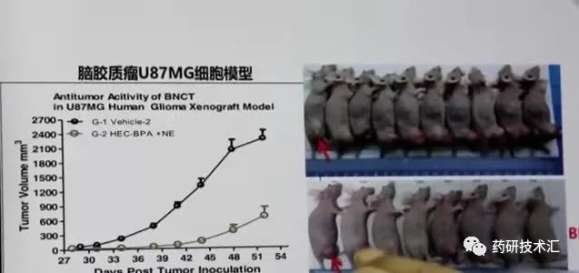 1497d136c7c05b6e62a9c93077174c83.jpg