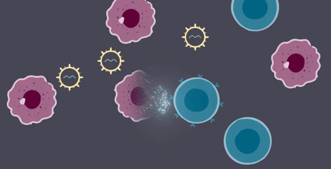 1764145533649053.png 640.png