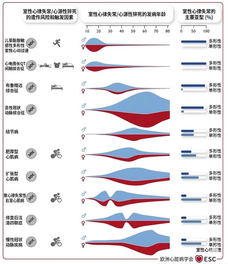 1774599464623901.png 640.png